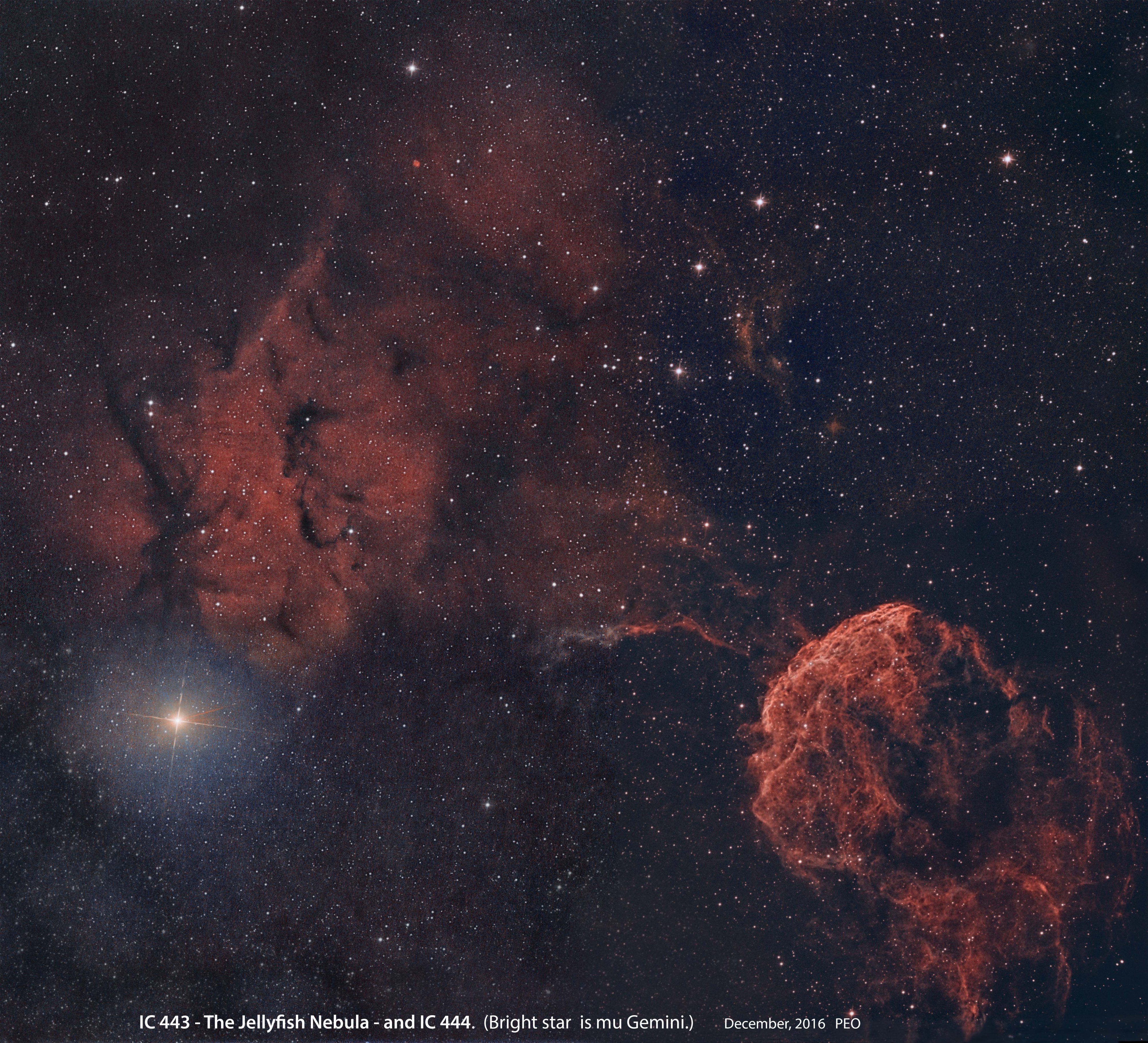 IC443 and 444